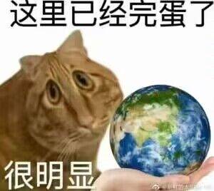 61FFA961-08C5-4C57-816A-8A5CF398CD93